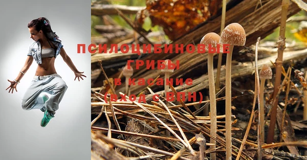 МДПВ Абинск