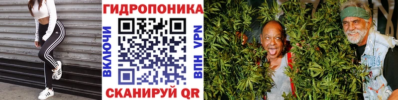 Бошки Шишки гибрид  KRAKEN сайт  Подпорожье 